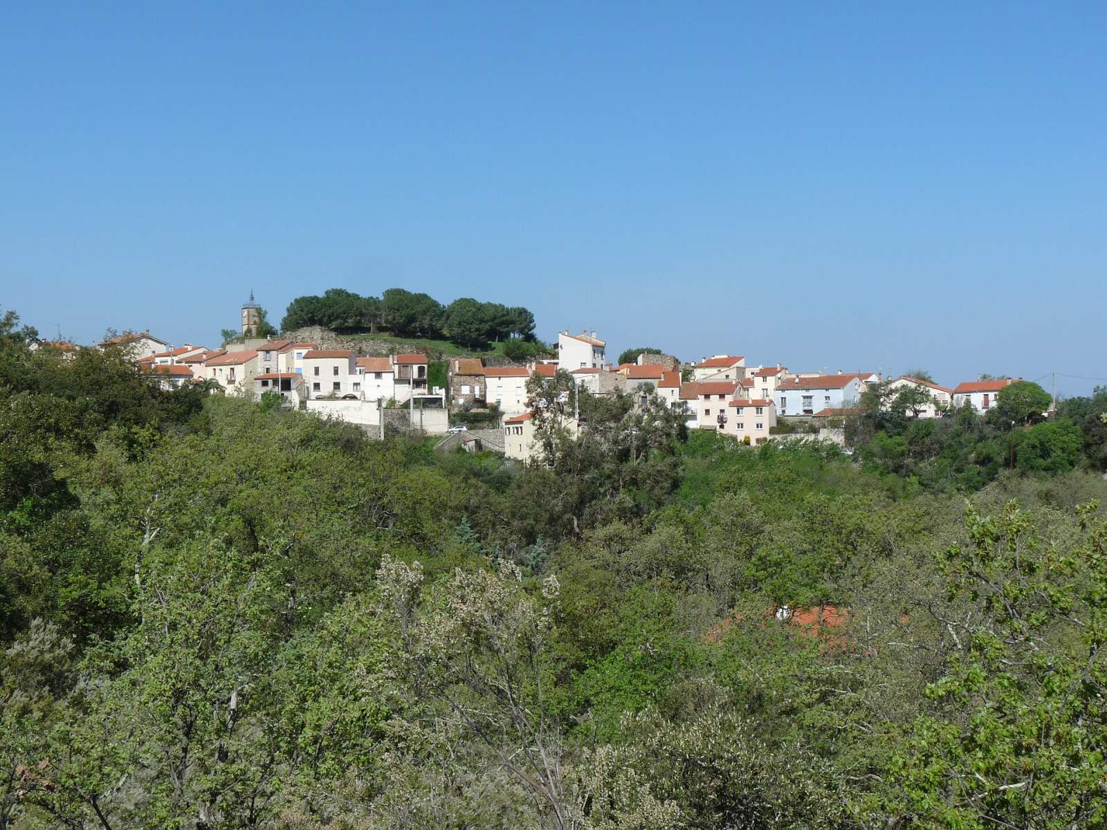 Photo de Montesquieu-des-Albères