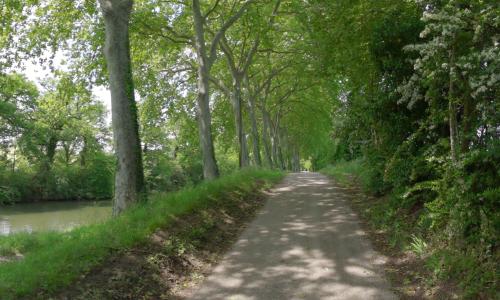 Photo de Montesquieu-Lauragais
