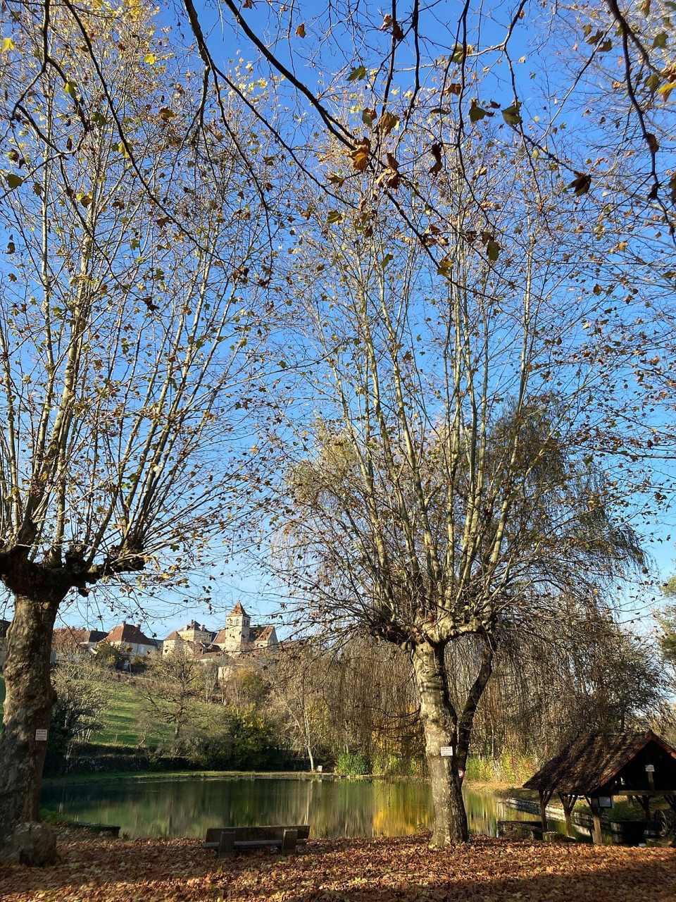 Photo de Montfaucon