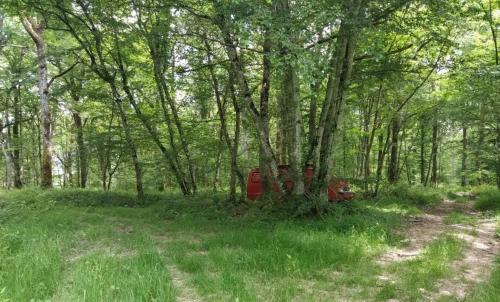 Photo de Montigny-sur-Canne