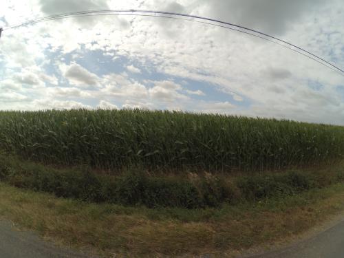 Photo de Montilliers