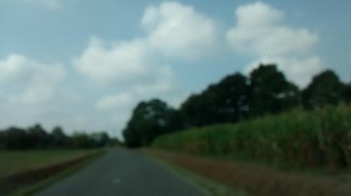 Photo de Montreuil-des-Landes