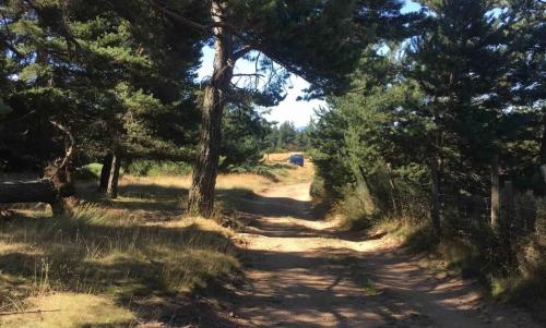 Photo de Montselgues