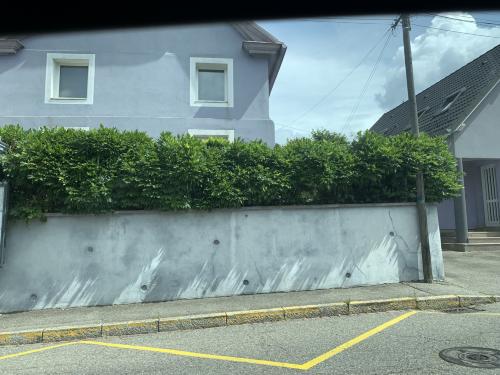 Photo de Morschwiller-le-Bas