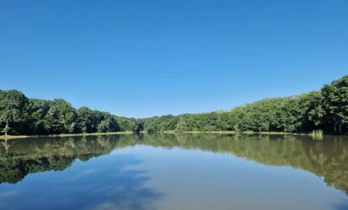 Photo de Le Moulinet-sur-Solin
