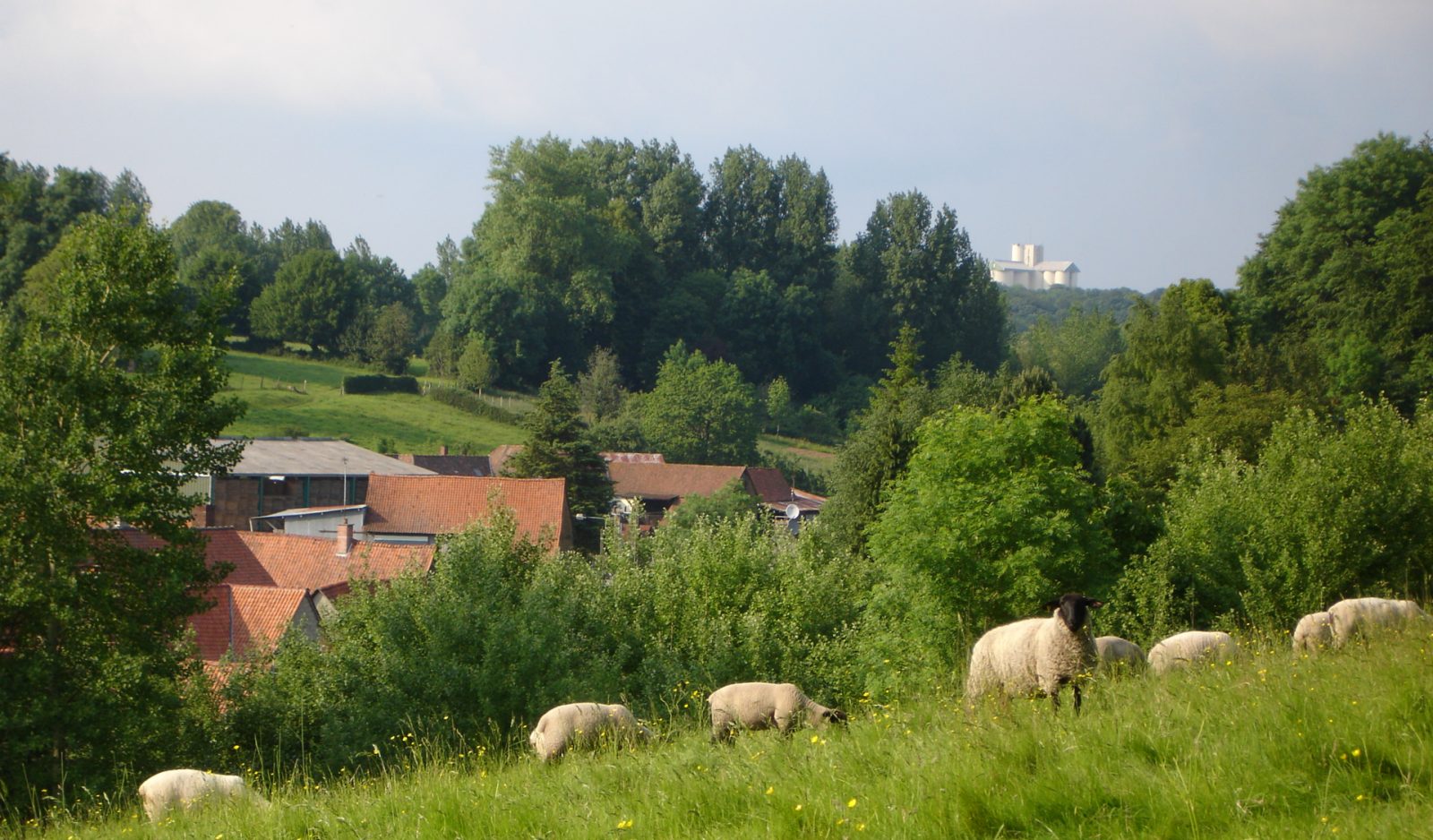 Photo de Mouriez