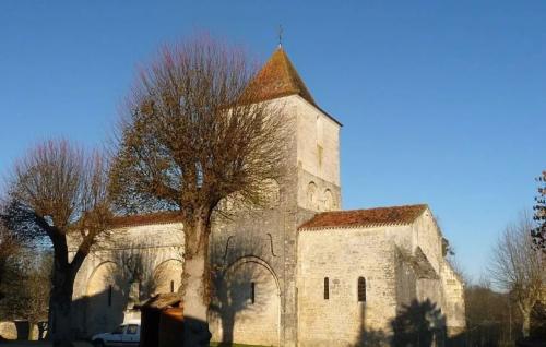 Photo de Mouton