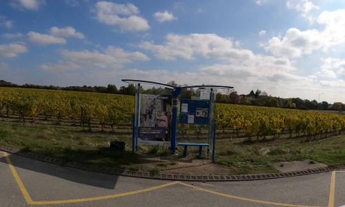 Photo de Mozé-sur-Louet