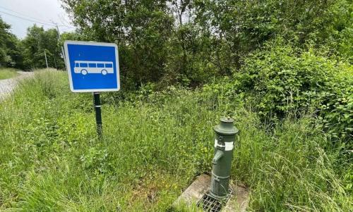 Photo de Murinais