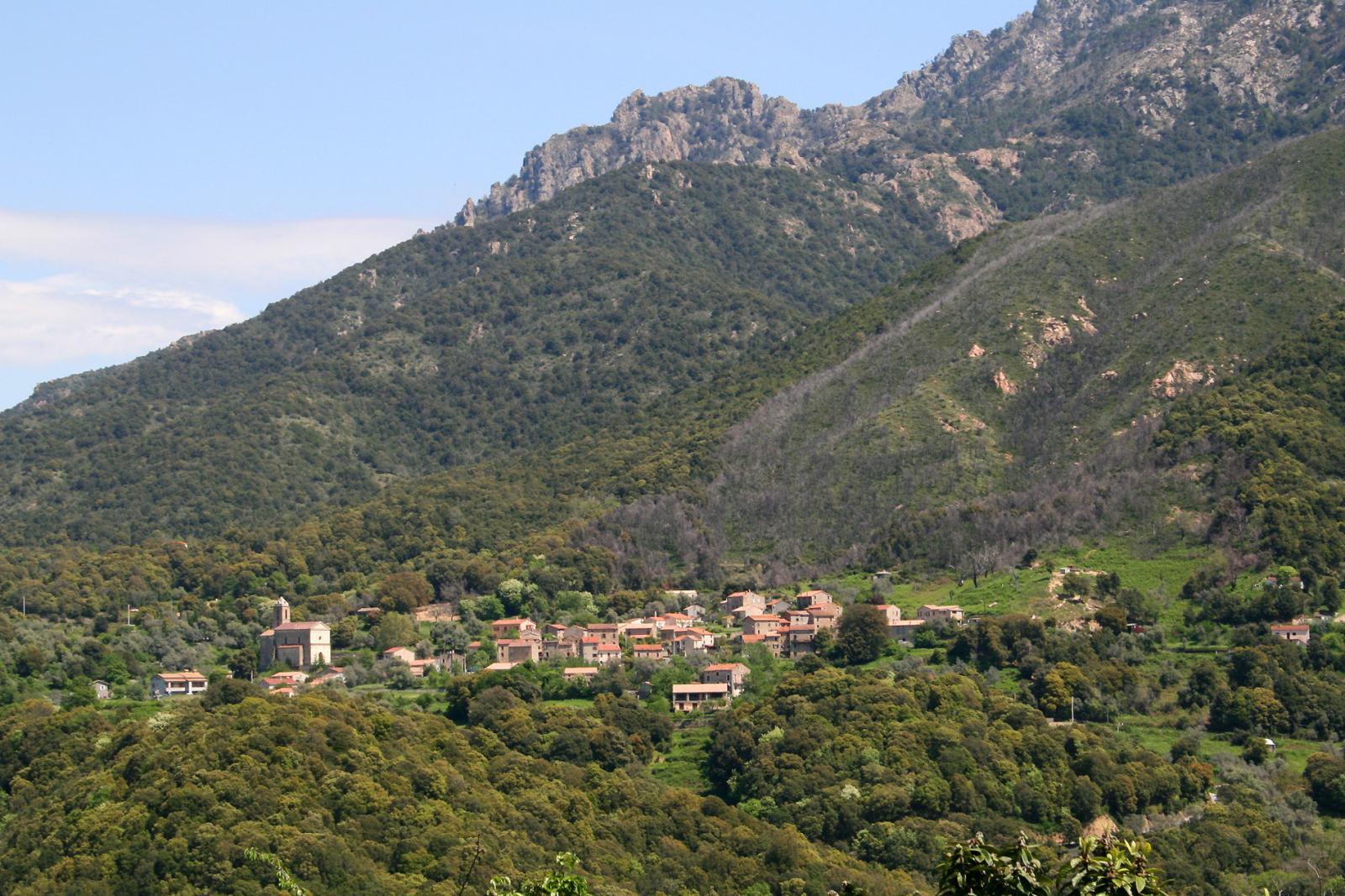 Photo de Murzo