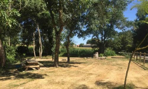 Photo de Nachamps