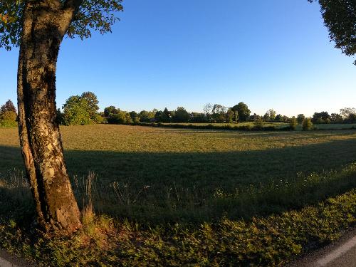 Photo de Nance