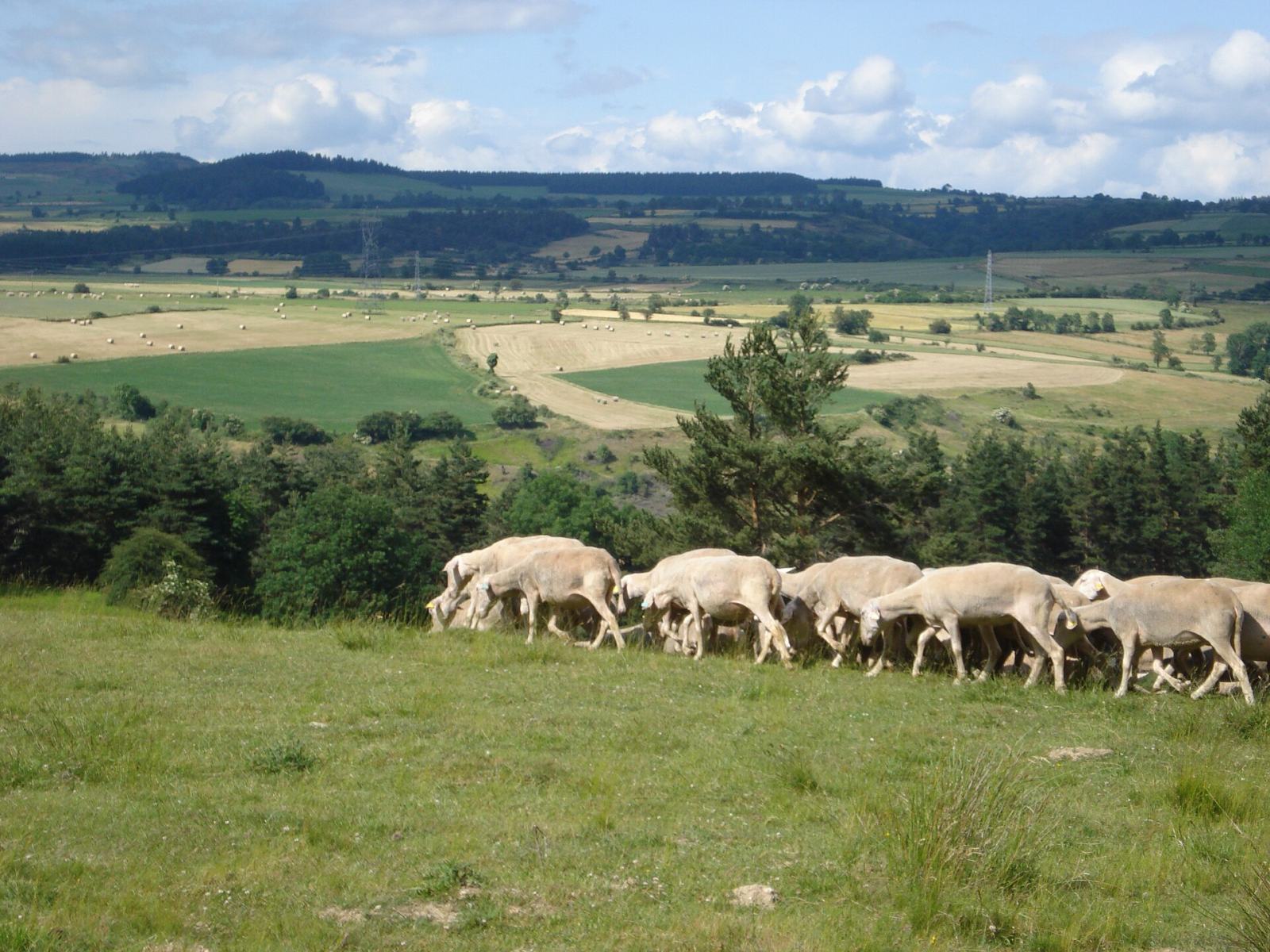 Photo de Naussac