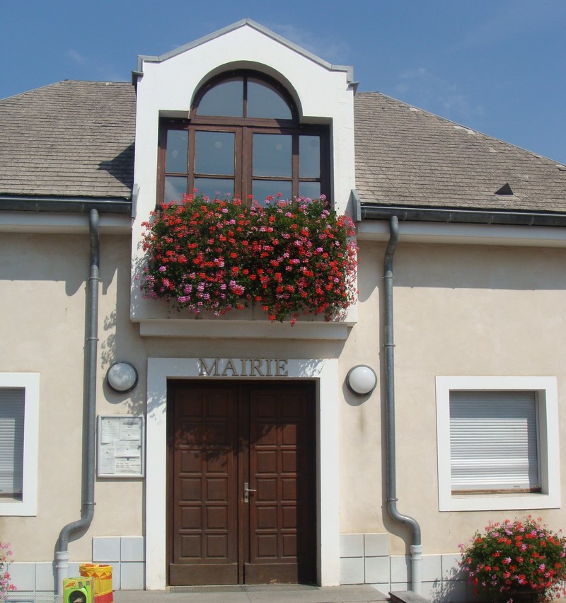 Photo de Neffes
