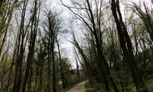 Photo de La Neuville-du-Bosc