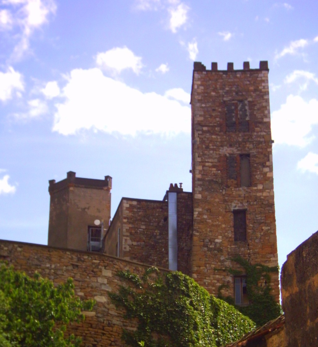 Photo de Neuville-sur-Saône