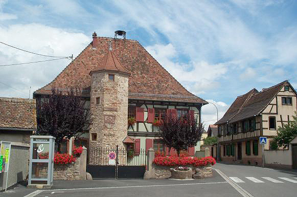 Photo de Niedernai