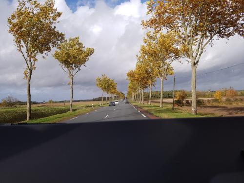 Photo de Nieul-le-Virouil