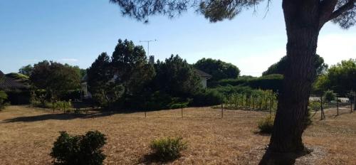 Photo de Le Nizan