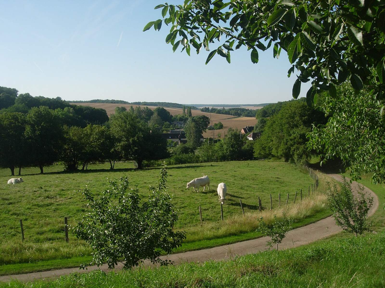 Photo de Nogent-en-Othe