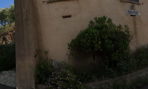 Photo de Novella