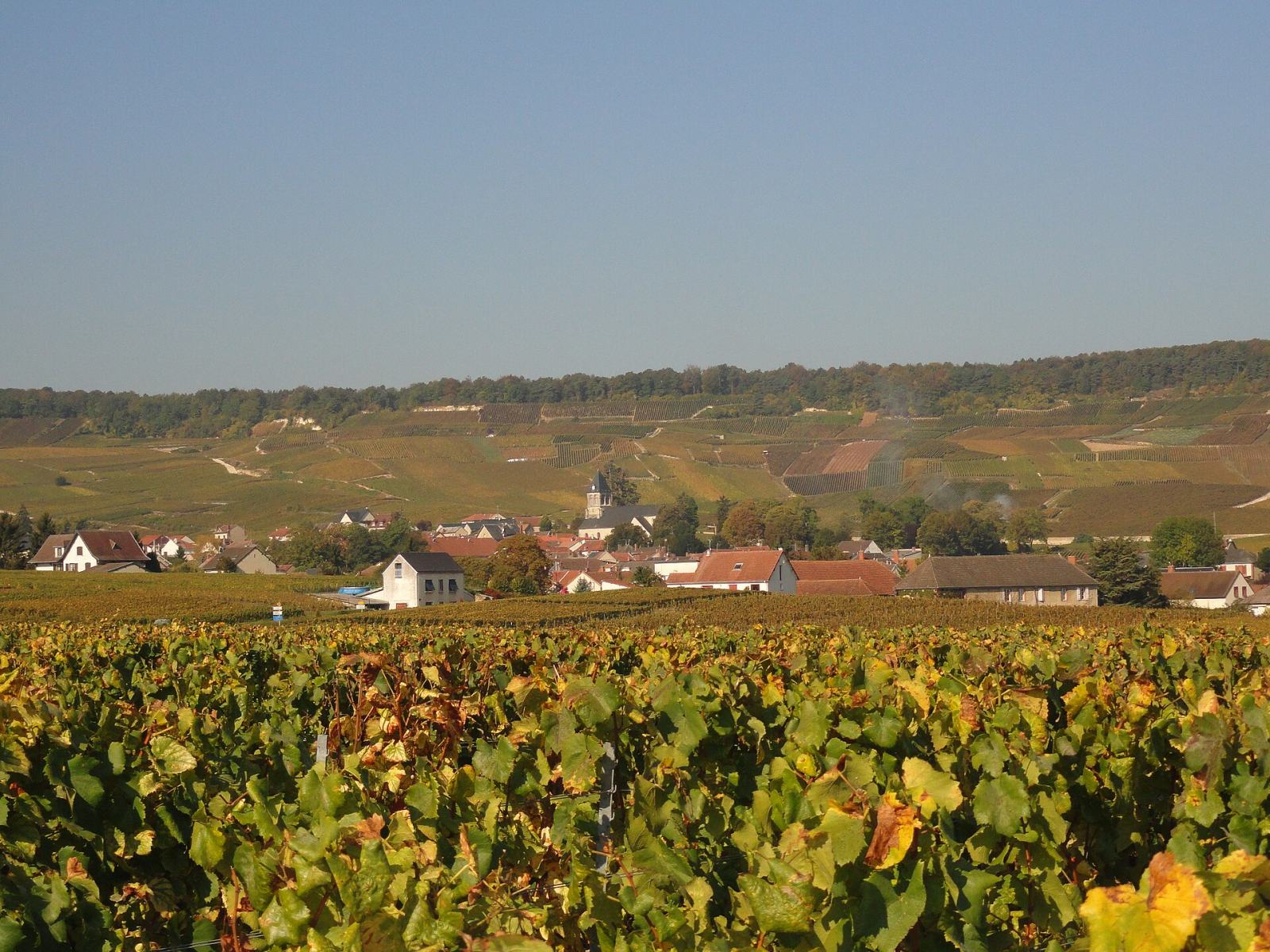 Photo de Oger