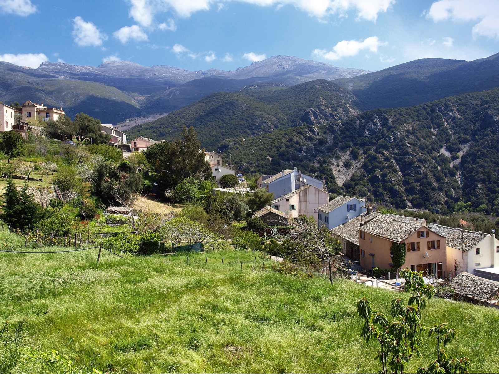 Photo de Olmeta-di-Capocorso