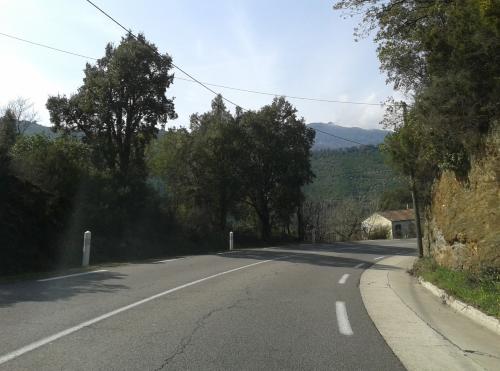 Photo de Olmo