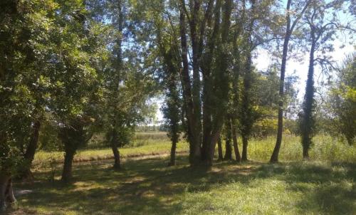 Photo de Ordonnac