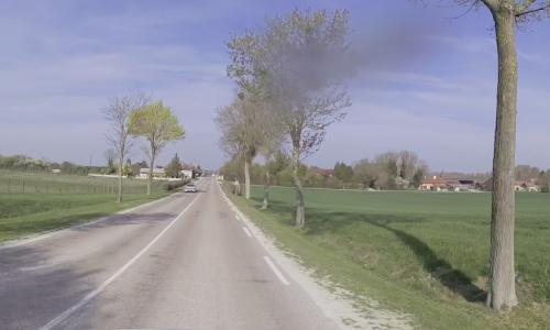Photo de Ortillon
