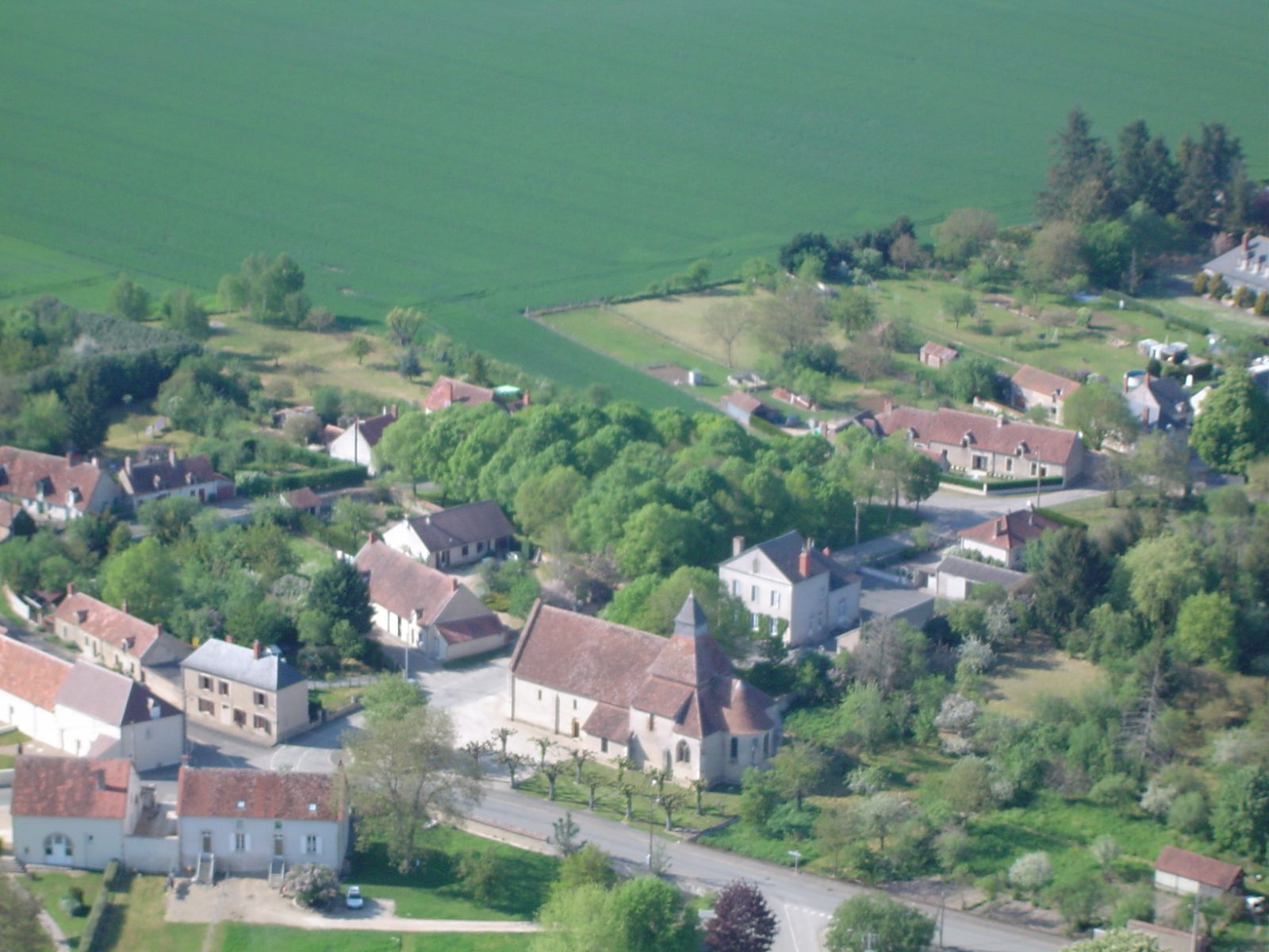 Photo de Osmery