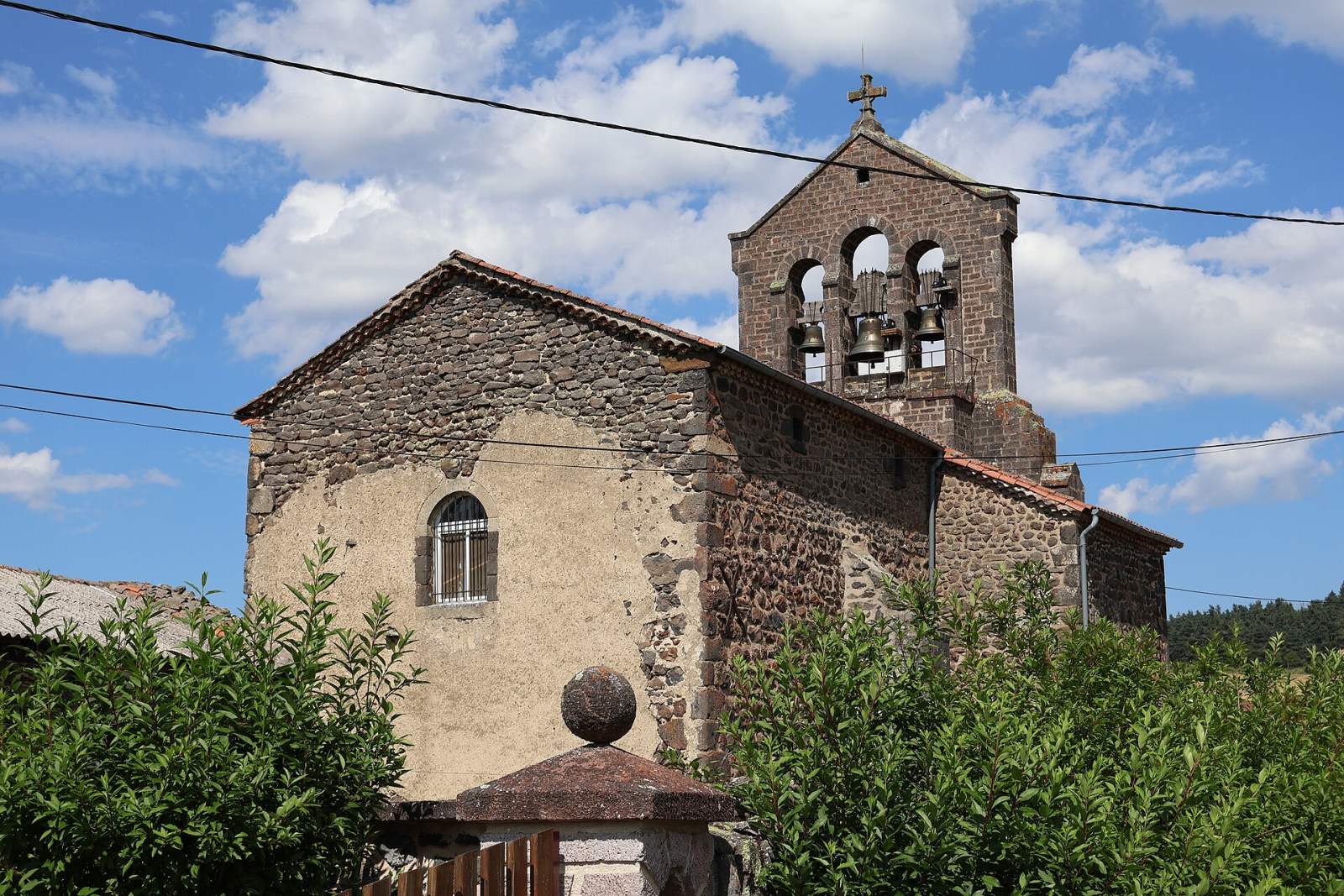 Photo de Ouides
