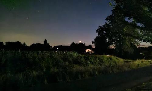 Photo de Ouillon