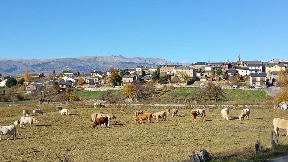 Photo de Palau-de-Cerdagne