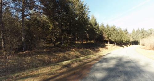 Photo de Palisse