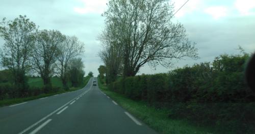 Photo de Pamplie