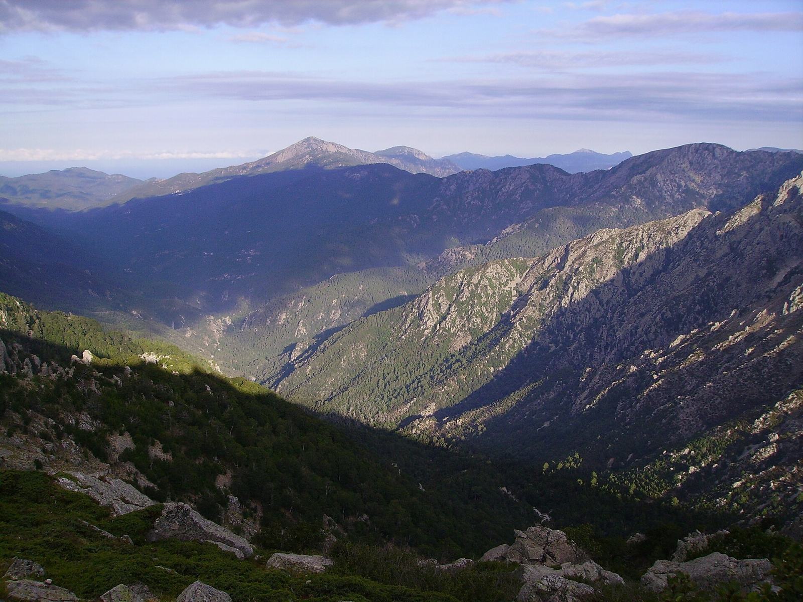 Photo de Pastricciola