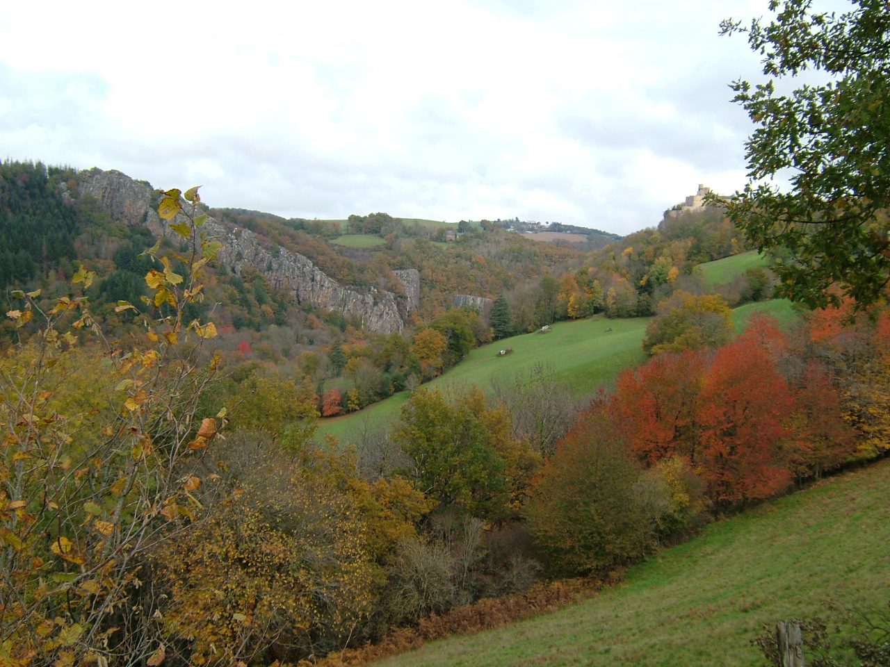Photo de Paulinet