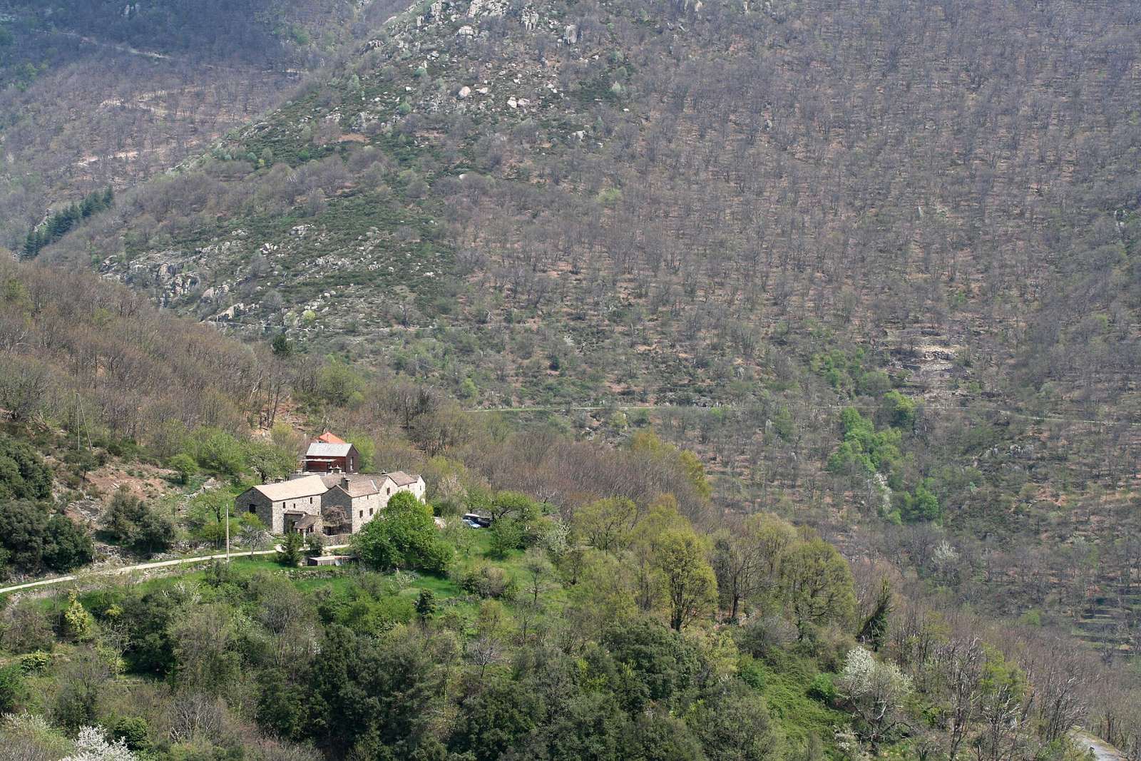 Photo de Pied-de-Borne