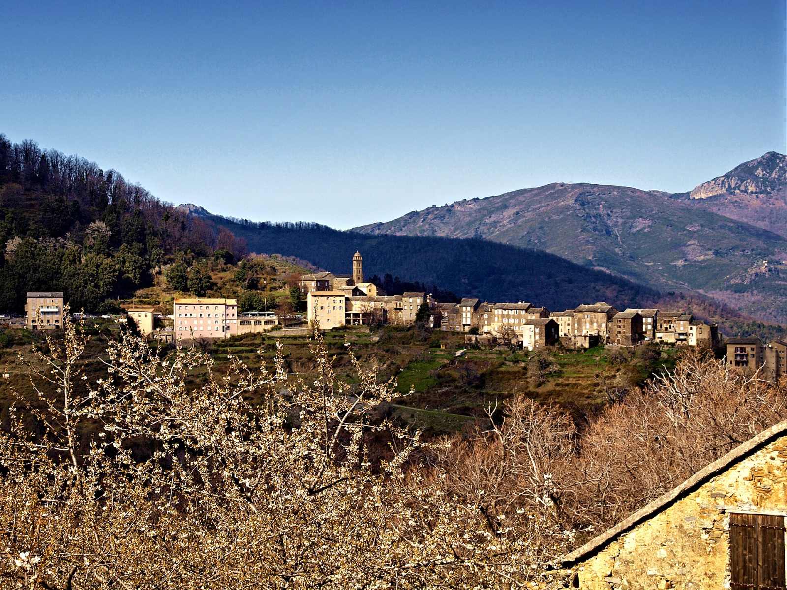 Photo de Piedicroce