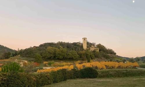 Photo de Piégon