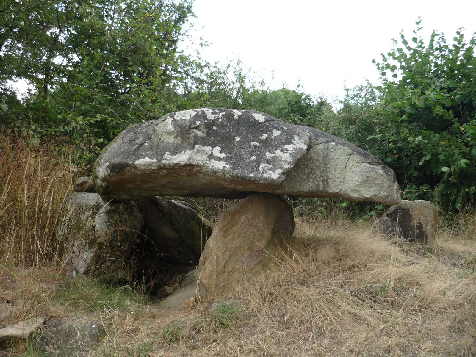 Photo de Le Pin