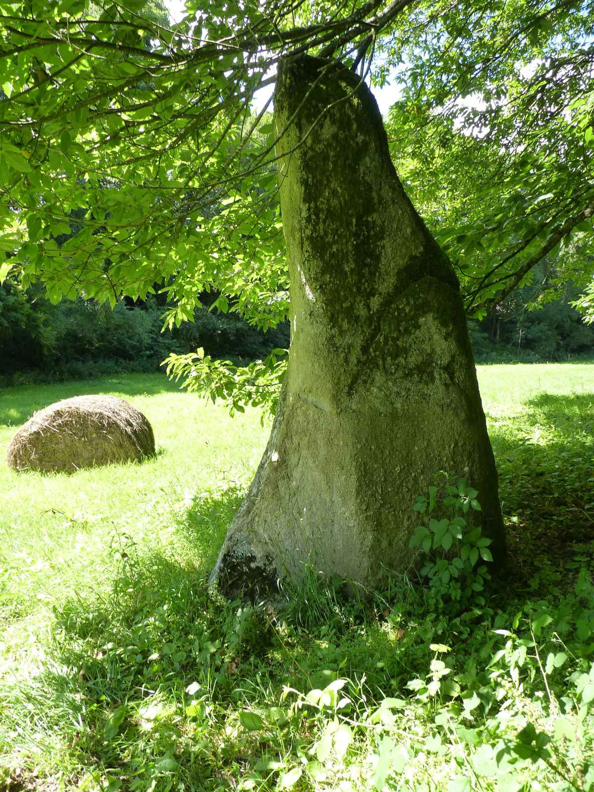 Photo de Plouvara