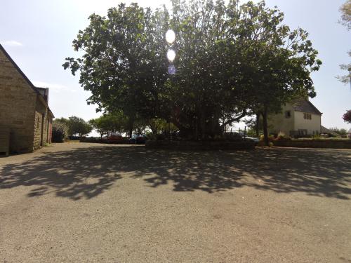 Photo de Plovan