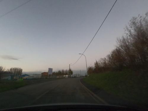 Photo de Pommier