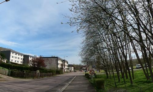 Photo de Pont-Authou