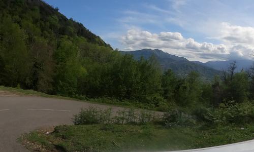 Photo de Porri