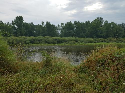 Photo de Pouilly-lès-Feurs