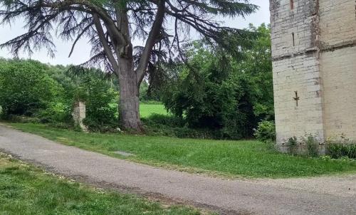 Photo de Pouy-Roquelaure
