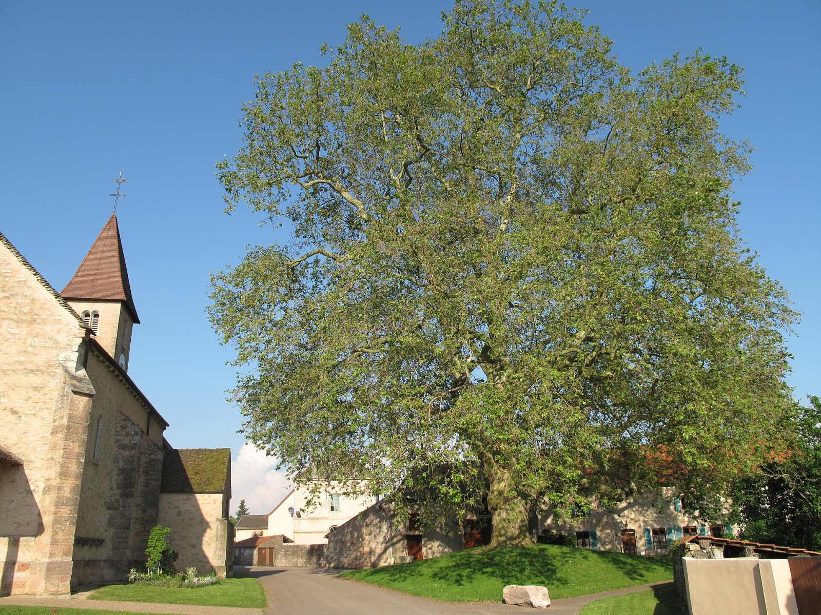 Photo de Préty